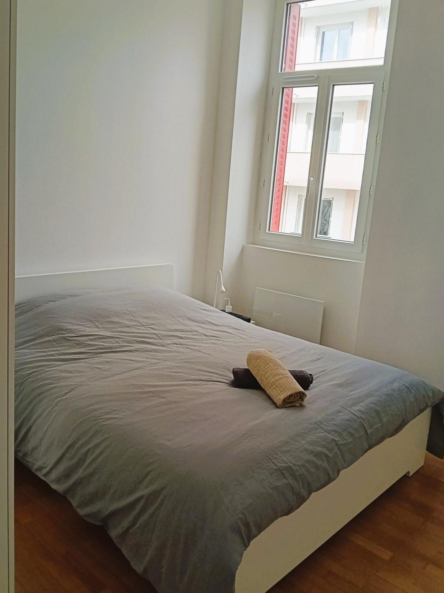 101 - Appart Renove Avec 1 Chambre Spacieuse - Tram Et Clinique Mutualiste A 1 Min Grenoble Kültér fotó